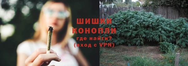 молекула духа Покровск